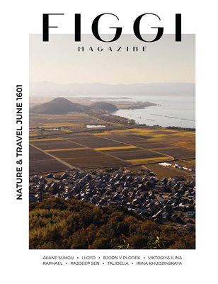 Publication preview