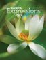 Expressions 2019