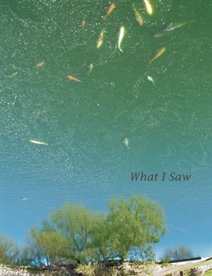 Publication preview