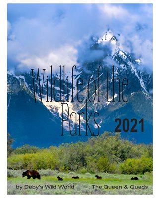 cover_thumbnail