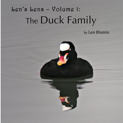 The DUCK FAMILY - 2013
