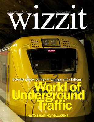 Publication preview