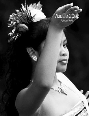 Visuals POV 2008