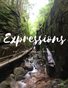 Expressions Spring 2018 Issue