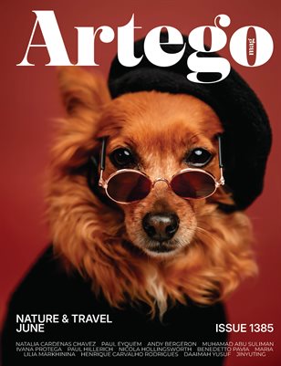 Publication preview