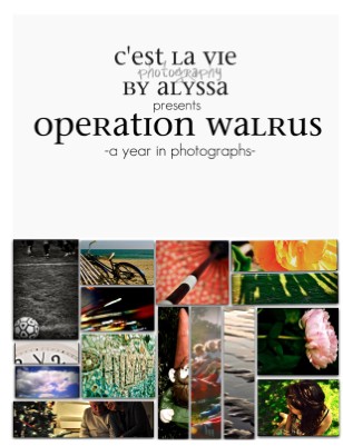 Walrus 2010