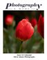 Issue 88 Colourful