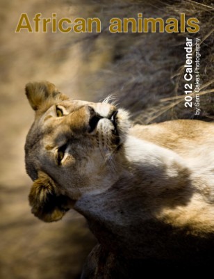African Animals 2012 Calendar