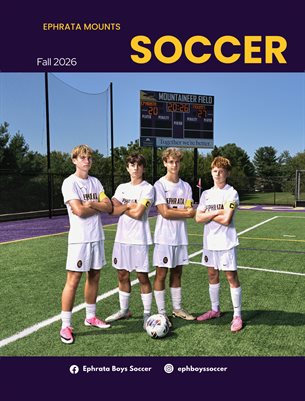 Publication preview