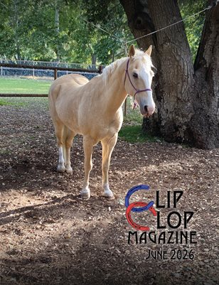 Publication preview