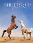 Shutter Up Magazine Issue 291