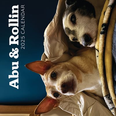 Publication preview