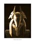 "The Rise of Anubis"