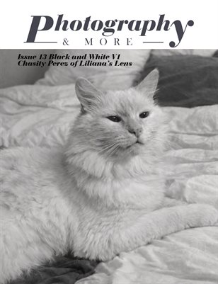 Issue 13 Black and White v1