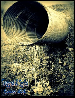 October 2012- Pastor Bills appears