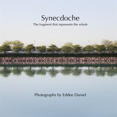 Synecdoche: the fragment that represents the whole