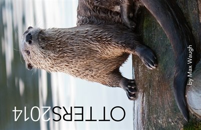 2014 Otters Calendar