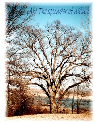 Ah....The Splendor of Nature