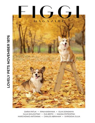 FIGGI MAGAZINE - LOVELY PETS NOVEMBER (Vol 1876)