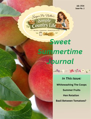 Summertime Journal 