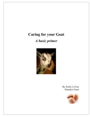 Caring for Your Goat - A Basic Primer