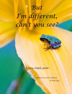 Publication preview