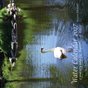 Water Calendar 2027 - a journey into the Mysteries of Water