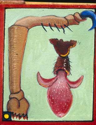 David Beck Bug Book Placemat Collection #5