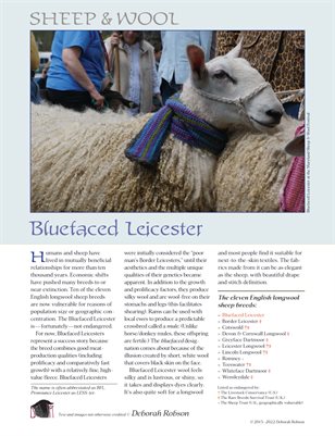 Sheep & Wool Mini Poster: Bluefaced Leicester