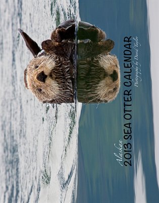 2013 Alaskan Sea Otter Wall Calendar
