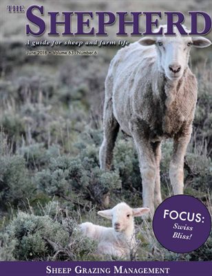 The Shepherd June 2018