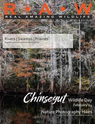 R • A• W | Real Amazing Wildlife January 2018