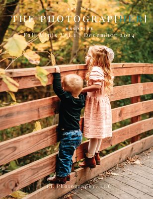 Fall Minis Vol.1 | December 2024