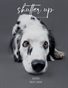 Shutter Up Magazine Flash Issue Dogs