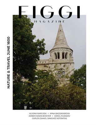 Publication preview