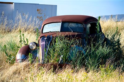 Rust No. 1