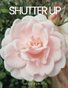 Shutter Up Magazine Issue 384 Plants