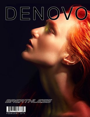 Denovo Issue 15 Feburary 2014 