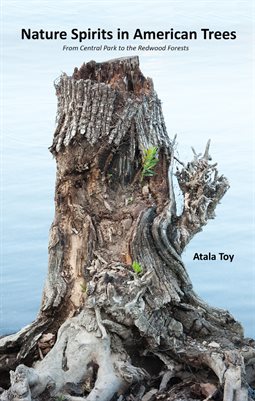 Nature Spirits in American Trees