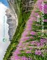 2016 Scenic Landscape and Wildlife Calendar