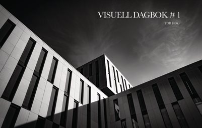 VISUELL DAGBOK # 1