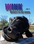 WINK Issue 9