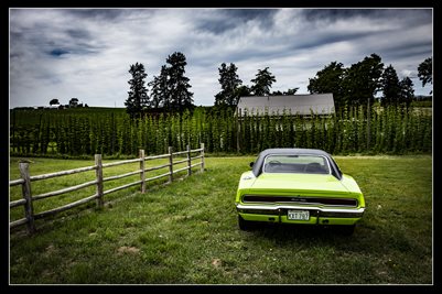 SHRG - 2020 - Car #1 Poster