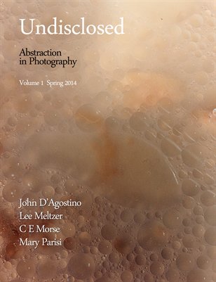 Undisclosed -Spring 2014 -Parisi Cover