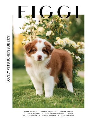 FIGGI MAGAZINE - LOVELY PETS AUGUST (Vol 2177)