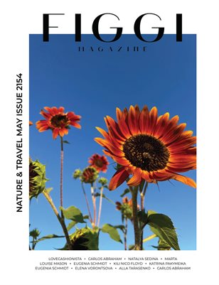 Publication preview