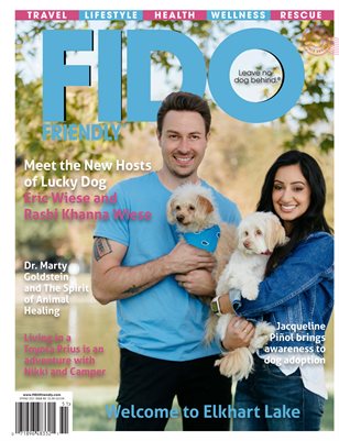 FIDO Friendly Magazine Spring Issue 2021