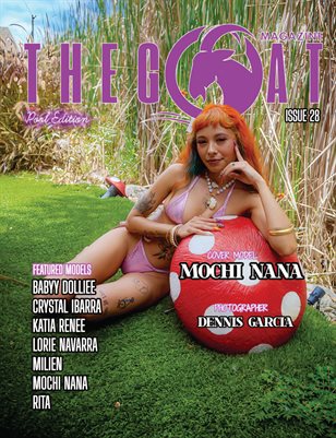 Publication preview