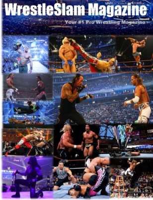 Issue #2: WrestleMania XXVII Special Edition