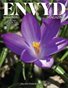 ENVYD Magazine Issue 606 May Purple